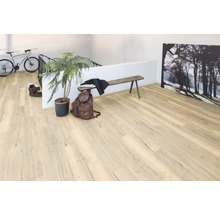 Scenă cu podea laminată deschisă la culoare, bancă, plantă, rucsac și bicicletă