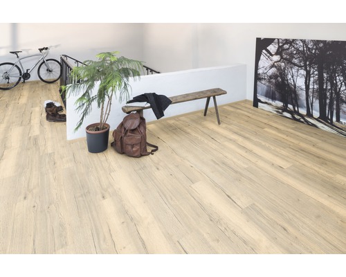 Scenă cu podea laminată deschisă la culoare, bancă, plantă, rucsac și bicicletă