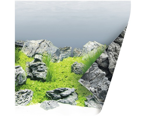 Fundal acvariu cu roci și plante