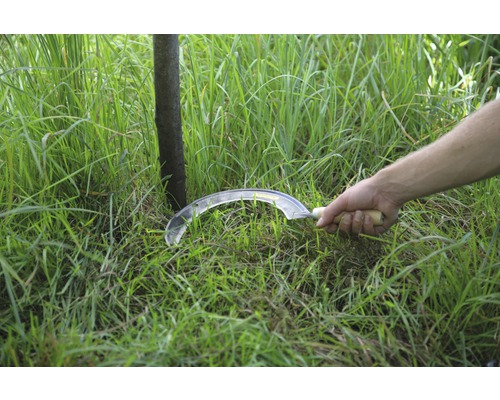 Coasă manuală cu mâner de lemn tăind iarbă
