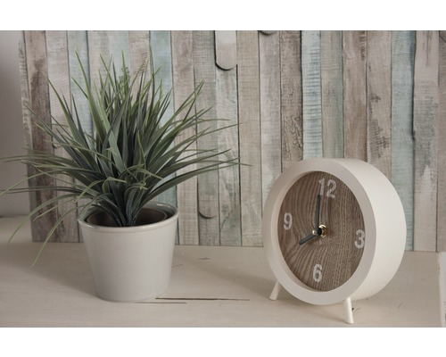 Plantă decorativă de interior în ghiveci lângă un ceas analogic de masă