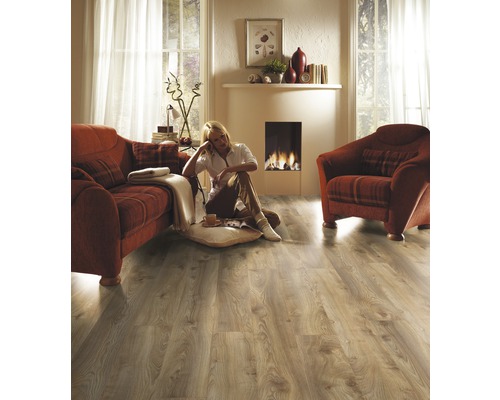 Cameră de zi cu podea laminată, canapea, fotoliu și șemineu