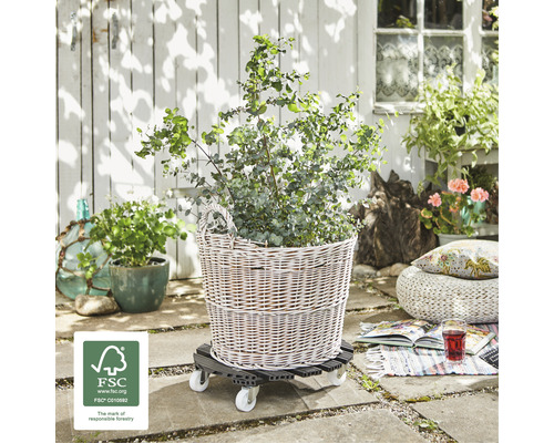 Coș cu plantă pe suport cu rotile de exterior