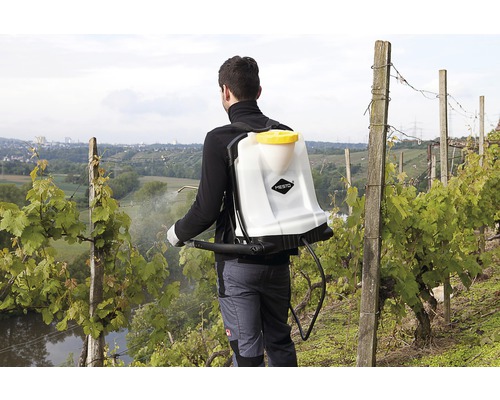 O persoană folosește un pulverizator de spate în podgorie pentru combaterea dăunătorilor.