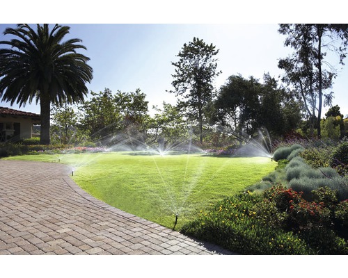 Sistem de irigare pentru un gazon cu copaci și plante