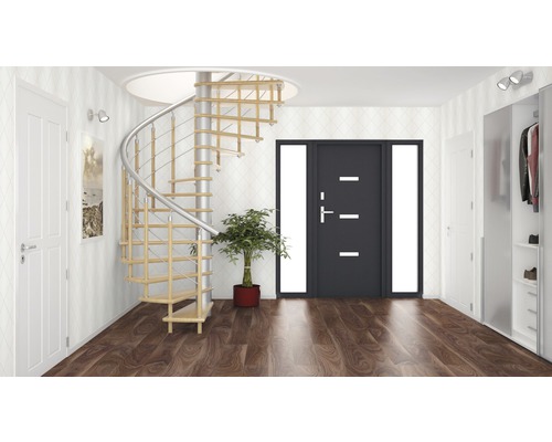 Hol luminos cu scară spiralată, ușă de intrare și dulap de garderobă