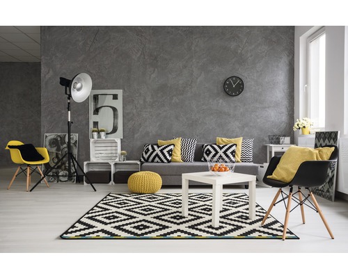 Living cu canapea, covor și decorațiuni