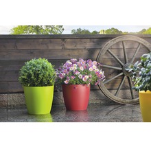 Scenă decorativă de grădină cu flori în jardiniere și roată de căruță din lemn