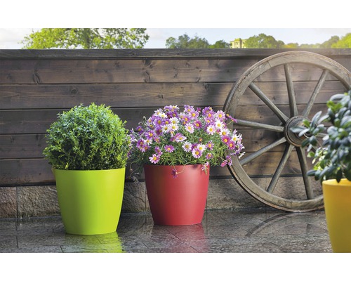 Scenă decorativă de grădină cu flori în jardiniere și roată de căruță din lemn