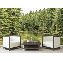 Pictură murală cu motiv de lac forestier într-o sufragerie