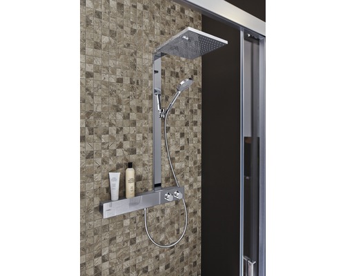 Sistem de duș cu duș fix și duș de mână, cu raft în baie