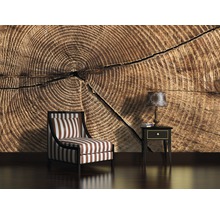 Cameră decorativă cu tapet cu motiv de trunchi de copac, fotoliu și lampă de masă