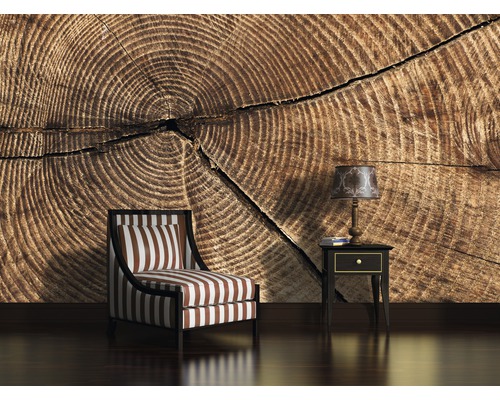 Cameră decorativă cu tapet cu motiv de trunchi de copac, fotoliu și lampă de masă