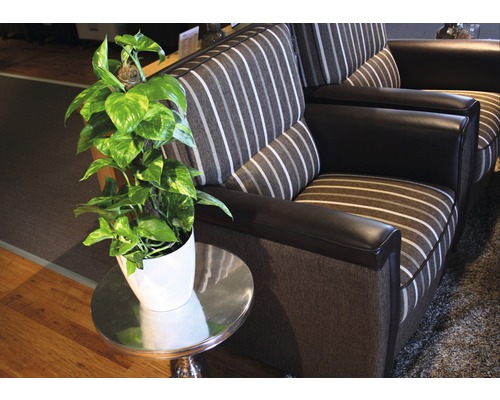 Scenă de living cu canapea, măsuță laterală și plantă de apartament