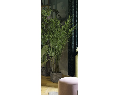 Plante de interior decorative în ghivece texturate într-un spațiu de locuit.