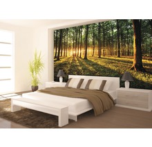 Dormitor cu fototapet de pădure la răsărit