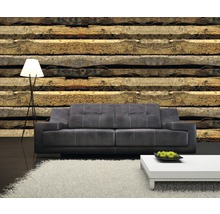 Living cu canapea, lampadar, covor și perete din lemn