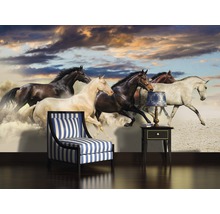Fototapet cu motiv de cai galopând într-o sufragerie