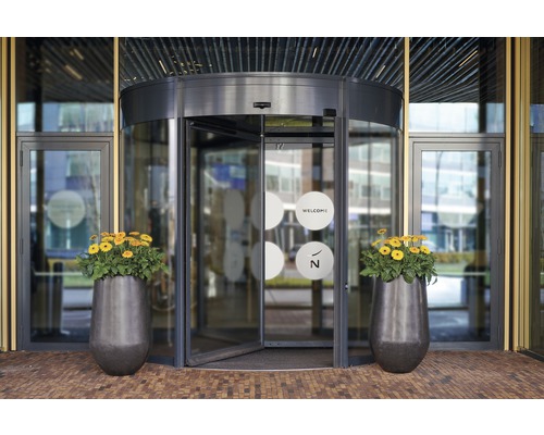 Zona de intrare cu ușă rotativă și două jardiniere cu flori.