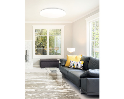 Living cu plafonieră, canapea și covor