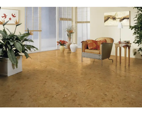 Cameră luminoasă cu podea de plută, fotoliu și plante