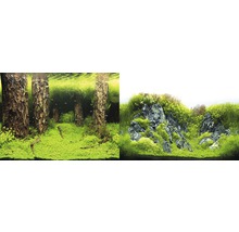 Fundal acvariu Orbit motiv 5 60x30 cm