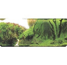 Fundal acvariu Orbit motiv 6 60x30 cm
