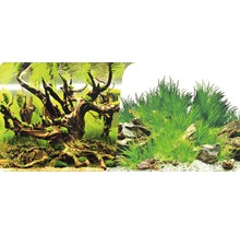 Fundal acvariu Orbit motiv 10 100x40 cm