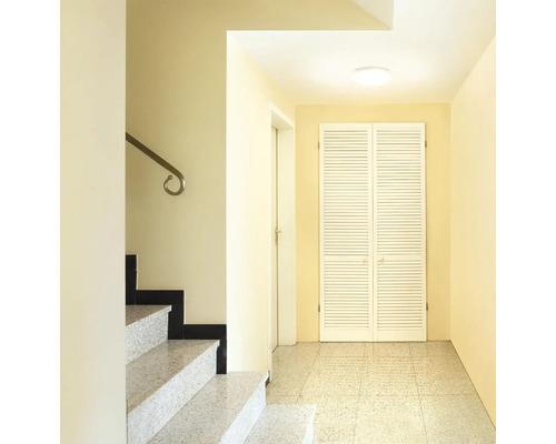 Hol luminos cu scări, dulap și plafonieră