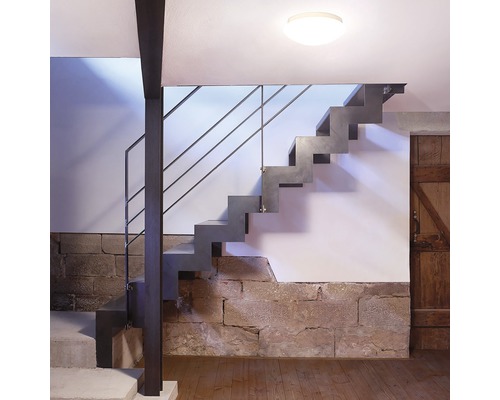 Scară cu balustradă metalică și trepte de piatră într-o cameră luminoasă.