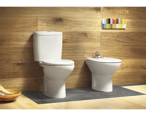 Toaletă și bideu într-o baie cu perete din lemn