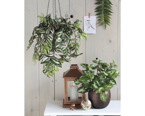 Scenă decorativă de interior cu plantă suspendată, plantă de apartament și felinar pe o masă.