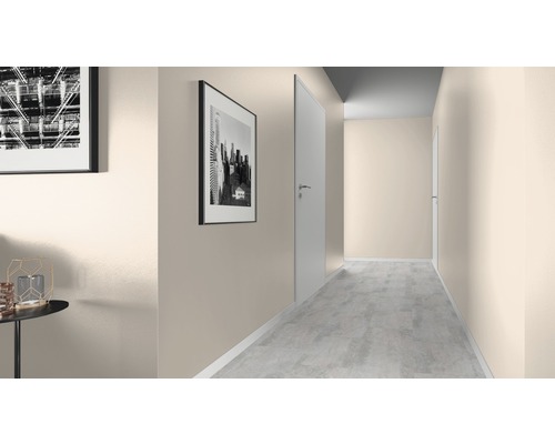 Hol cu ușă, vopsea de perete și tablouri pe perete