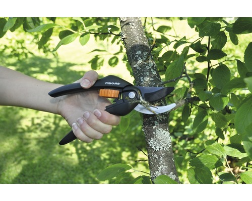 O persoană taie o ramură cu o foarfecă de grădină marca Fiskars.
