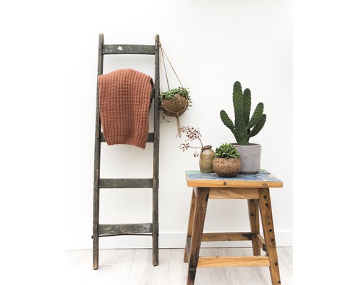 Scenă decorativă cu scară, pătură, plante și taburet