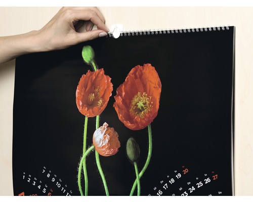 Calendar de perete cu model floral în curs de agățare