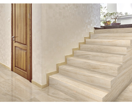 Interior cu scară și ușă din lemn