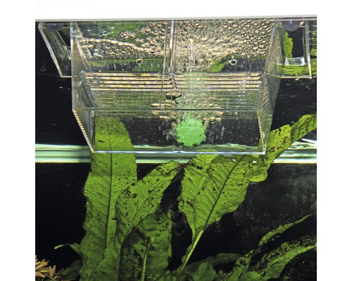 Acvariu cu bazin de reproducție pentru creșterea peștilor