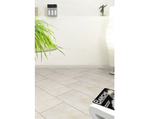 Cameră luminoasă cu gresie cu aspect de piatră, plantă și decorațiuni