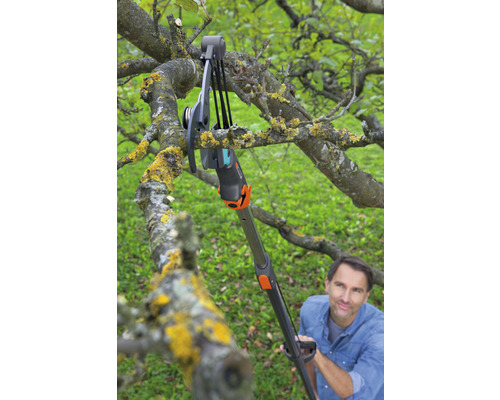 O persoană folosește un foarfece de crengi cu mâner telescopic pentru a tăia o creangă.