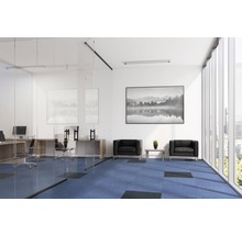 Birou modern cu pereți de sticlă, plăci de mochetă albastre, fotolii și ferestre