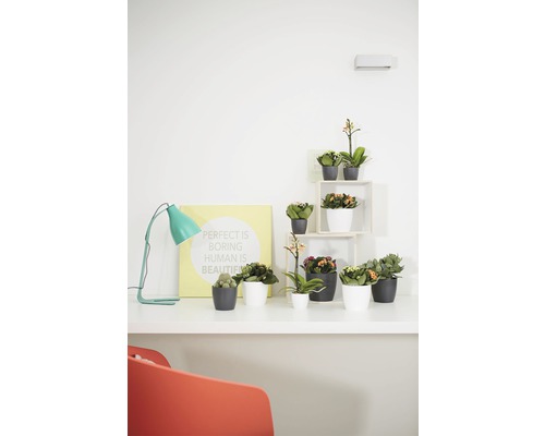 Plante de interior decorative în ghivece pe o masă cu o lampă și un tablou.