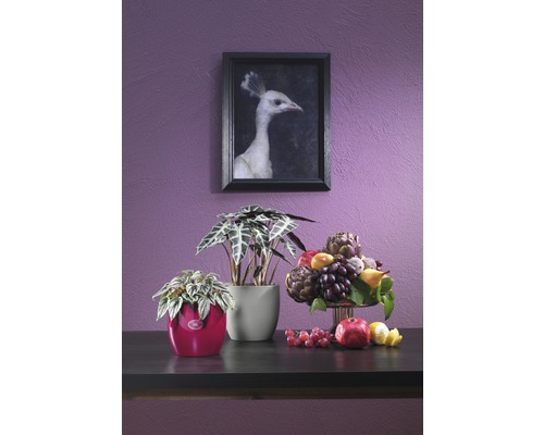 Design decorativ al camerei cu plante în ghivece și o natură statică cu fructe