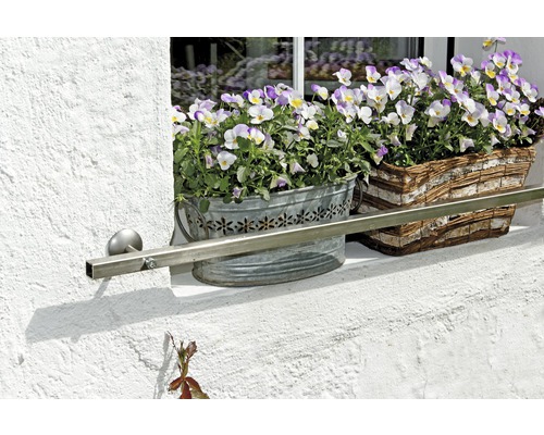 Jardiniere cu violete pe pervazul ferestrei cu balustradă