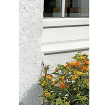 Prim-plan cu o fereastră lângă o plantă afară