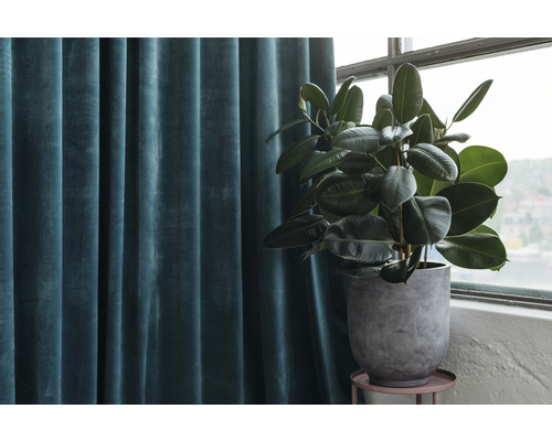 Cameră decorativă cu perdea și plantă de apartament în ghiveci