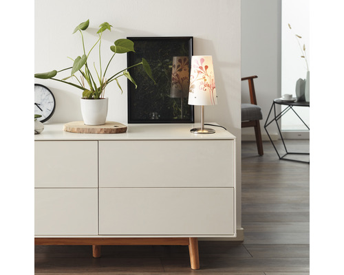 Comodă cu lampă de masă, plantă de apartament și fotografie în camera de zi