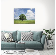 Tablou canvas cu peisaj cu copaci deasupra unei canapele într-o sufragerie