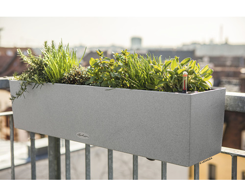 Jardinieră de balcon cu ierburi aromatice pe o balustradă de balcon