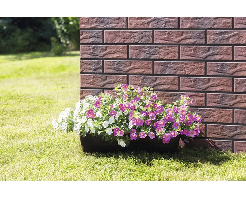 Jardinieră cu flori albe și violete în fața unui zid de cărămidă